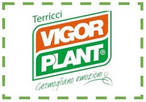 GOLDEN SPONSOR DI GAME 2015 - VIGORPLANT