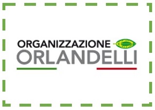 ESPOSITORE GAME 2015 - ORGANIZZAZIONE ORLANDELLI