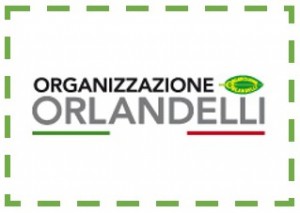 ESPOSITORE GAME 2015 - ORGANIZZAZIONE ORLANDELLI